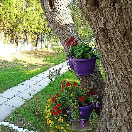 Villa Maria - Ground Floor Holiday home Skala Rachoni (Thasos)